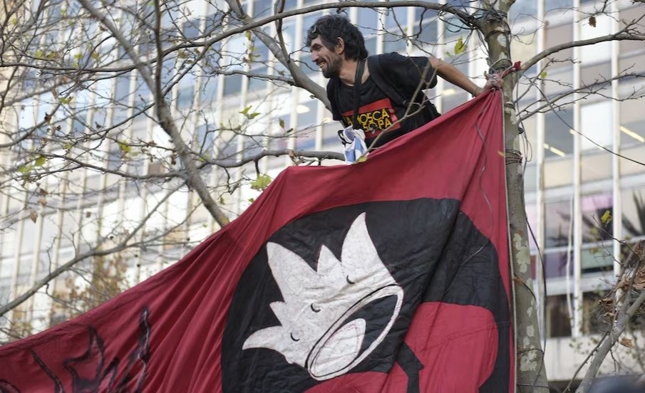Imagen mas leída
