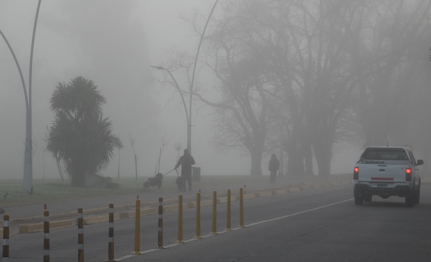 Imagen mas leída