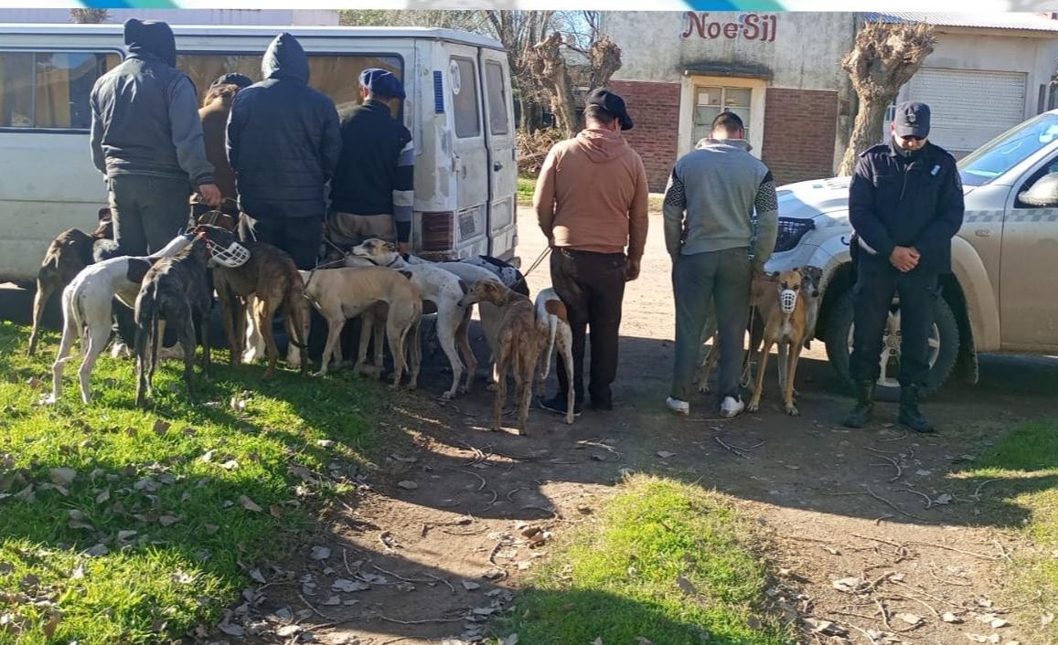 Imagen mas leída