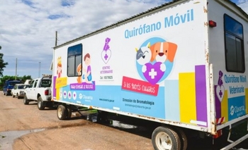 Imagen de la nota: Quirófano Veterinario Móvil en el barrio Matadero
