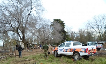 Imagen de la nota: Recuperan ovejas robadas tras un allanamiento