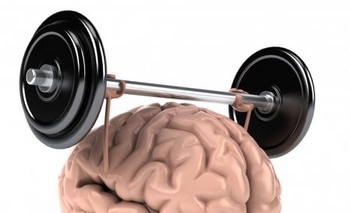 Imagen de la nota: Dale de comer a tu cerebro, cultiva la memoria!