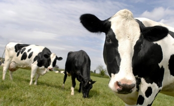 Imagen de la nota: Principio de solución entre tamberos e industriales