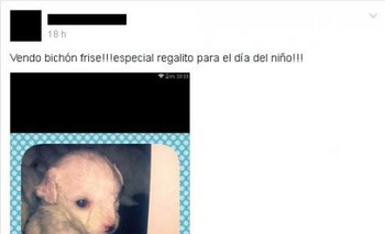 Imagen de la nota: Compra y venta en Facebook: Un 