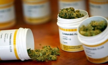 Imagen de la nota: Charla sobre Cannabis medicinal en Biblioteca 1º de Mayo