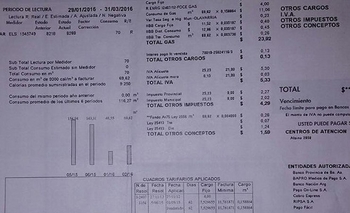 Imagen de la nota: ¿Qué debemos hacer con la factura del gas?