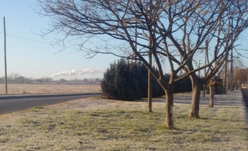 Imagen de la nota: Este domingo fue el día más frío en Olavarría