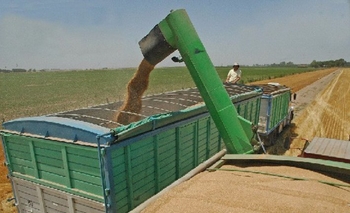 Imagen de la nota: Transportistas de cerealeras inician paro por tiempo indeterminado