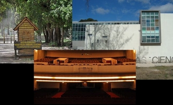 Muchas propuestas para la segunda semana de vacaciones Imagen de la nota: Muchas propuestas para la segunda semana de vacaciones