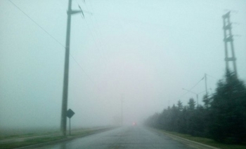 Imagen de la nota: Niebla: precaución por visibilidad reducida