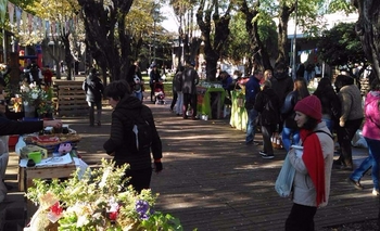 Imagen de la nota: Nueva edición de la feria agroalimentaria