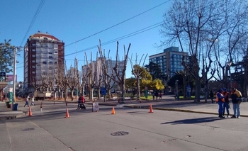 Imagen de la nota: Calles cortadas en pleno centro por trabajos de poda