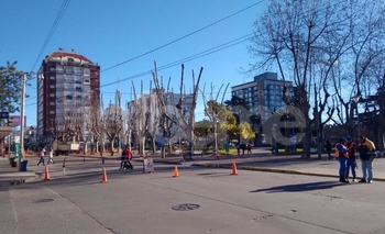 Imagen de la nota: Calles cortadas en pleno centro por trabajos de poda