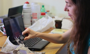 Cinco proyectos de investigación  seleccionados  Imagen de la nota: Cinco proyectos de investigación  seleccionados