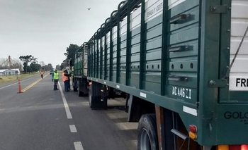 Imagen de la nota: Senasa controló vehículos de transportes en rutas de la provincia