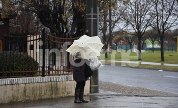Imagen de la nota: Las lluvias trajeron alivio al sector agropecuario