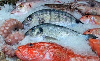 “El 19 comé pescado”: una campaña para incentivar el consumo Imagen de la nota: “El 19 comé pescado”: una campaña para incentivar el consumo