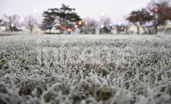 Imagen de la nota: Nada de agua: piden no lavar las veredas para evitar accidentes