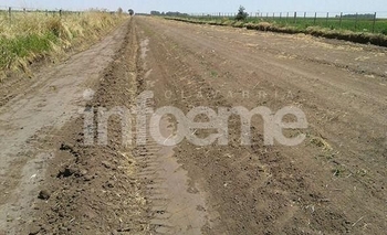 Multas de 8 mil pesos por circular en caminos rurales Imagen de la nota: Multas de 8 mil pesos por circular en caminos rurales