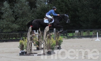Imagen de la nota: El campo hípico de Estudiantes tendrá actividad