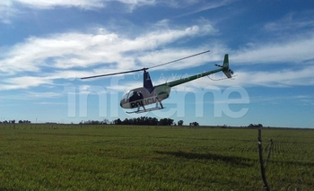 Imagen de la nota: Rastrillajes, testimonios y falsas denuncias