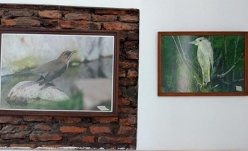 Muestra de Aves Pampeanas en el Bioparque “La Máxima” Imagen de la nota: Muestra de Aves Pampeanas en el Bioparque “La Máxima”