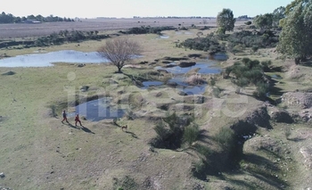 Imagen de la nota: Carlos Cordero: Las imágenes del séptimo día de búsqueda