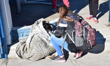 Imagen de la nota: Tiraron una perrita al arroyo y fue rescatada