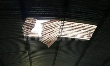 Imagen de la nota: Cayó en una forrajería y escapó por un boquete