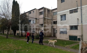 Barrio Jardín: el octogenario murió por causas naturales Imagen de la nota: Barrio Jardín: el octogenario murió por causas naturales