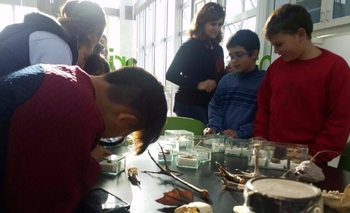 Imagen de la nota: Las propuestas municipales para las vacaciones