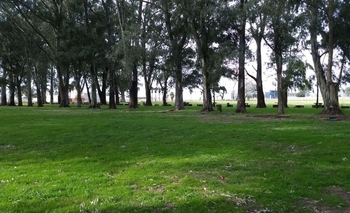 Reformas en el sector camping de “La Máxima” Imagen de la nota: Reformas en el sector camping de “La Máxima”