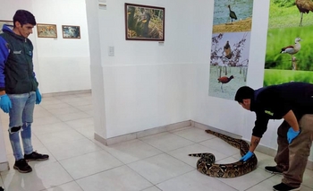 Actividades para disfrutar del receso invernal en La Máxima Imagen de la nota: Actividades para disfrutar del receso invernal en La Máxima