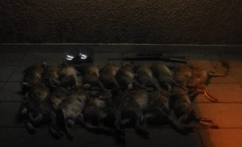 Imagen de la nota: Demoraron a tres olavarrienses por caza furtiva