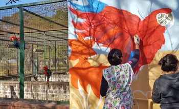 Pintaron un mural sobre conservación en La Máxima Imagen de la nota: Pintaron un mural sobre conservación en La Máxima