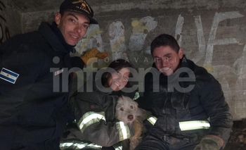 Imagen de la nota: Bomberos rescataron a un perro atrapado en un puente 