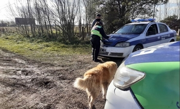 Imagen de la nota: Demoran a 12 personas por violar la cuarentena