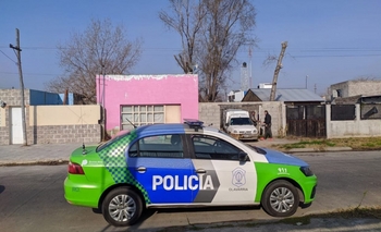 Imagen de la nota: Pitbulls en Martín Fierro: la dueña los reubicó