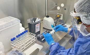 Imagen de la nota: Coronavirus en Argentina: 166 muertes en las últimas 24 horas