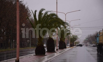 Imagen de la nota: Pronostican lluvias para los próximos días
