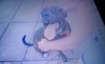 Imagen de la nota: Roy suma apoyo: 