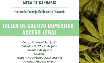 “Talleres de cultivo doméstico. Acceso legal” Imagen de la nota: “Talleres de cultivo doméstico. Acceso legal”
