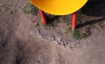 Imagen de la nota: Vecinos denuncian el mal estado del Parque Eseverri 