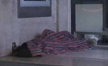 Imagen de la nota: Dolorosa imagen de una madrugada olavarriense