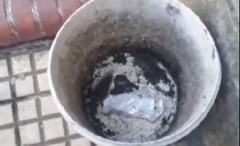 Vuelven a aparecer ratas en la Escuela Secundaria Nº10 Imagen de la nota: Vuelven a aparecer ratas en la Escuela Secundaria Nº10