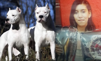 Trinidad, víctima de un trágico ataque de perros: La escalofriante historia que conmociona a Córdoba Imagen de la nota: Trinidad, víctima de un trágico ataque de perros: La escalofriante historia que conmociona a Córdoba