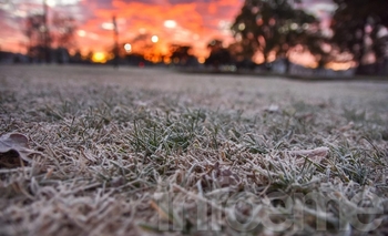Imagen de la nota: El Gobierno dio marcha atrás con la eliminación del régimen Zona Fría