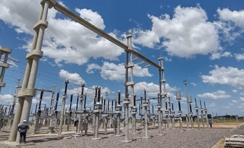 Pisano:  Imagen de la nota: Pisano: