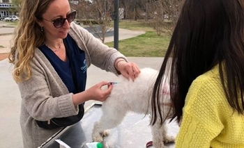 Imagen de la nota: Nueva jornada de vacunación antirrábica en el Paseo de la Salud