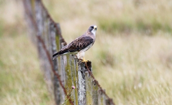 Imagen de la nota: Vacaciones de Invierno: las actividades para este viernes en Olavarría